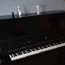 Фортепиано ЛЕНИНГРАД (фото #2)