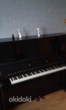 Klaver LENINGRAD (foto #2)