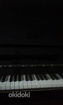 Klaver LENINGRAD (foto #3)