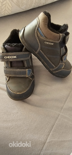 Ботинки geox в/о 24р (фото #2)