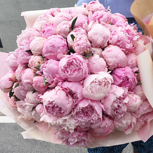 Vaja lillepoodi florist