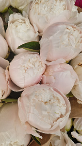 Vajatakse florist-müüjat