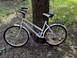 CLASSIC Elegance naiste jalgratas (1 foto / 5)