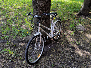 CLASSIC Elegance naiste jalgratas (2 foto / 5)