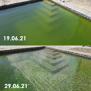 Biobasseinid ja tiigid (5 foto / 8)