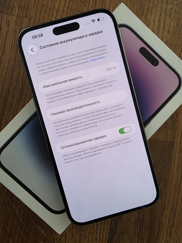 iPhone 14 Pro Max 256GB Purple 100%