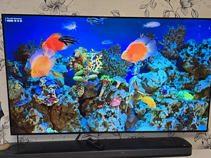 LG OLED 55 CX3LA (1 foto / 2)