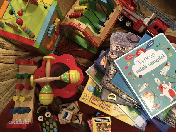 Raamatud ja mänguasjad (foto #1)