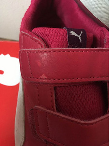 Puma tossud 34 (2 foto / 2)