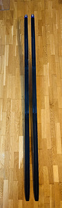 Klassikasuusad Salomon Equipe 10 classic cold 206 (3 foto / 6)