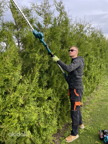 Elupuuheki pügamine ja muud aiatööd