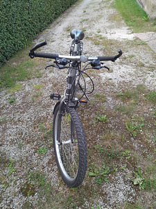 Meeste jalgratas CLASSIC MAXX (3 foto / 9)