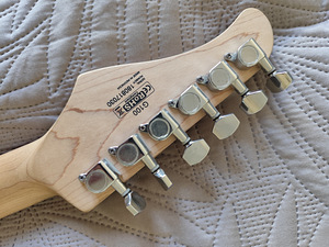 Elektrikitarr CORT G-100 (Indoneesia) (4 foto / 6)