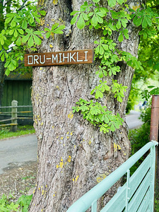 Oru-Mihkli, Pärispea, Kuusalu vald, Harjumaa (6 foto / 35)