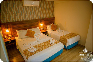 EMILY ROSE HOTEL (9 foto / 10)