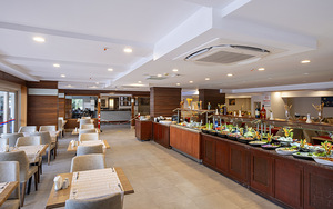 VIKING EXPRESS HOTEL (10 фото из 10)