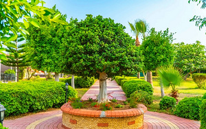 CLOVER MAGIC PARK BEACH ALANYA (5 foto / 10)