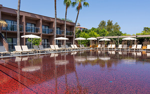 HOTEL GOLDEN SUN +12 ADULT ONLY (3 foto / 10)