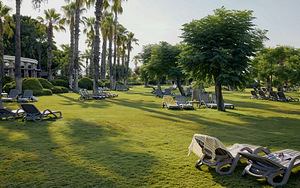 TUI MAGIC LIFE BELEK (10 фото из 10)