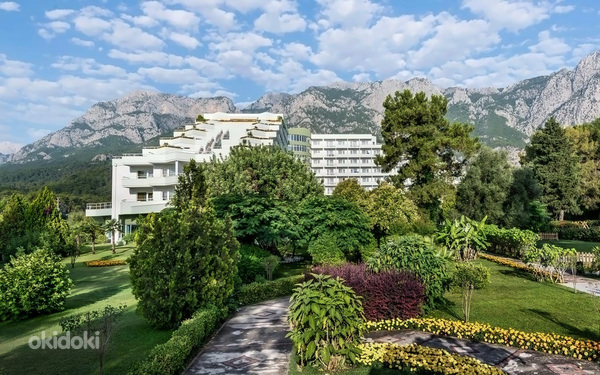 MA BICHE KEMER BY WERDE