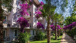 CLUB DIZALYA (3 foto / 10)