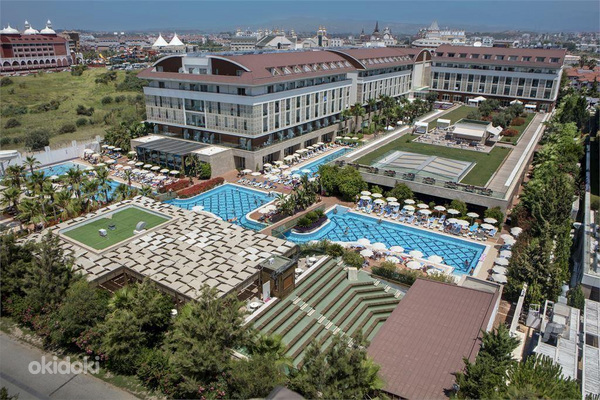TRENDY VERBENA BEACH