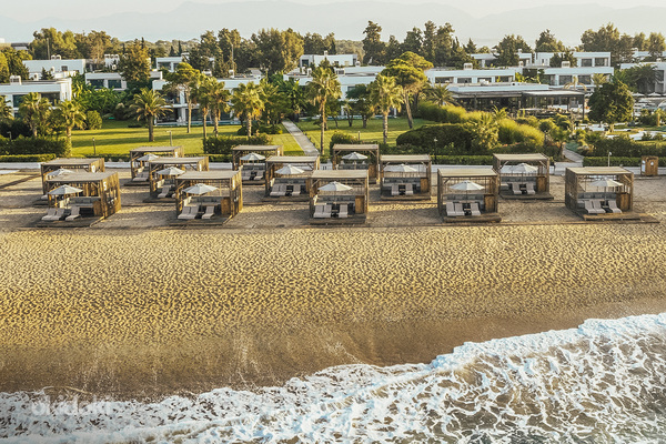 PALOMA FINESSE
