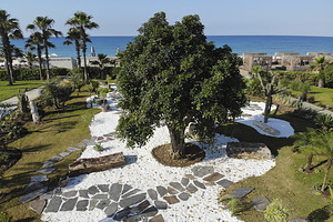 PALOMA FINESSE SIDE (10 foto / 10)