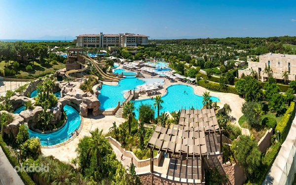 REGNUM CARYA
