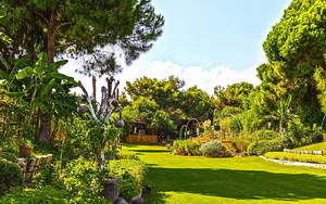 REGNUM CARYA (7 фото из 10)