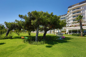 ASTERIA BLOOM SIDE (4 foto / 10)