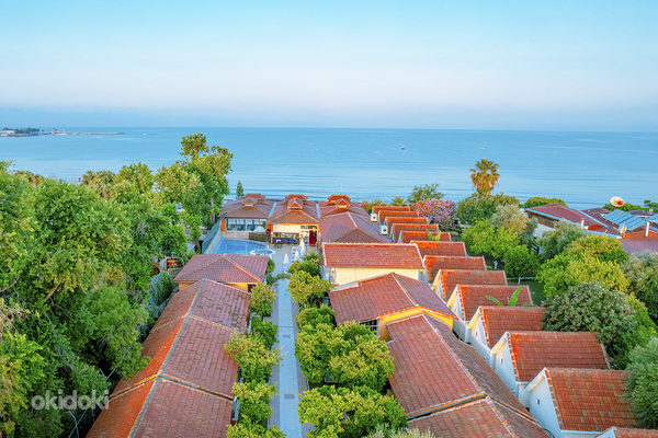 OZLEM GARDEN