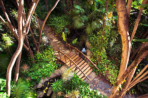 HOTEL BOTANICO & THE ORIENTAL SPA GARDEN (3 foto / 10)