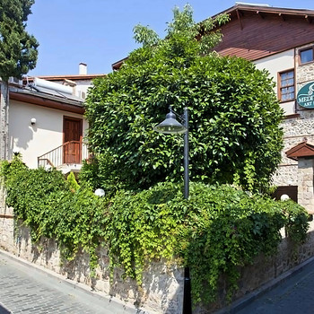 MEDITERRA ART BOUTIQUE