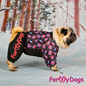 Uus sügistalvine kollektsioon ForMyDogs (3 foto / 3)