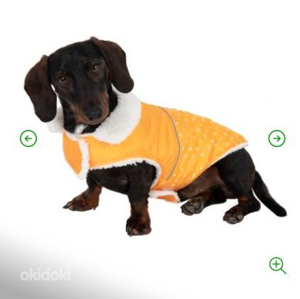 Теплый свитер для собак 25см (фото #1)