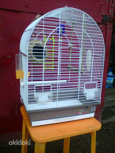 Papagoi puur