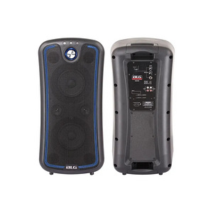 Mobiilne kõlar BLG 2x6.5" BLG 240Wrms, akuga, USB/BT Class D (1 foto / 3)
