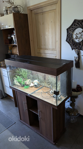 Akvaarium 150L Juwel