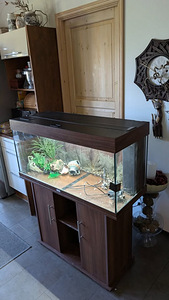 Аквариум 150L (3 фото из 3)