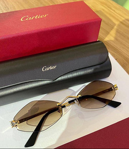 Cartier De Panthere sunglasses (1 foto / 4)