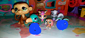 Little Pet Shop- LPS (2 foto / 2)