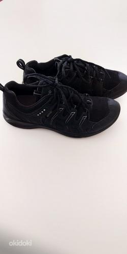 Очень хорошие кроссовки / туфли Ecco gore-tex 36 размера (фото #1)