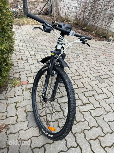 Велосипед mTB Classic 29 дюймов ALU (фото #2)