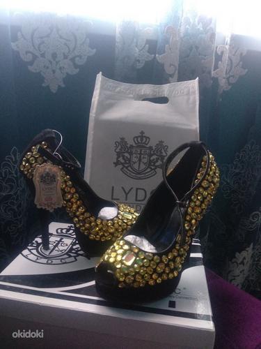 Uued Peep toe kingad + kingutseks kleit (foto #5)