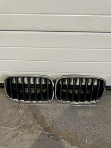 Ноздри на BMW X5, E70, Оригинал. (1 фото из 1)