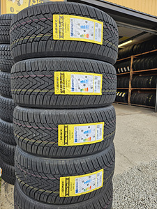 225 45 R 17 SONIX WINTERXPRO 888 ( uued ) (1 foto / 3)