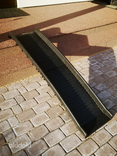 Koera kaldtee