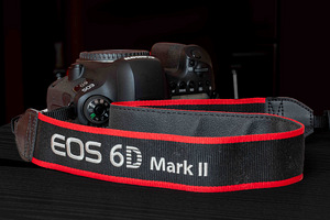 Canon EOS 6D Mark II kere või koos objektiiviga EF 70-200mm (7 foto / 10)
