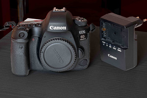 Canon EOS 6D Mark II kere või koos objektiiviga EF 70-200mm (2 foto / 10)